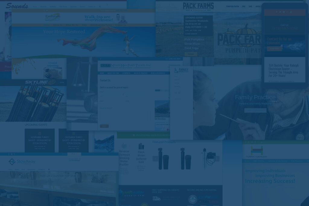 revivify-marketing-web-design-background website programming
