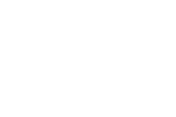 google-my-business google local search idaho falls